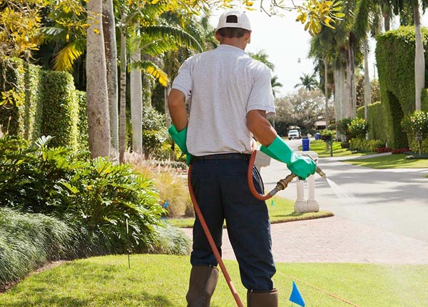 About Pewaukee WI Pest Control Pros